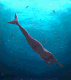 undersea